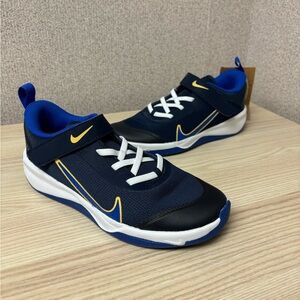 Nike Omni Multi-Court